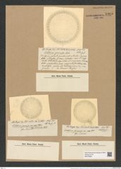 Coscinodiscus gemnifer var. decrescens Castr. (de-Toni-Nr.: Genus 202, Species 5191) Zeichnungen Sammlung Grunow Nr. 8905 (NHMW-BOT-W0378565)